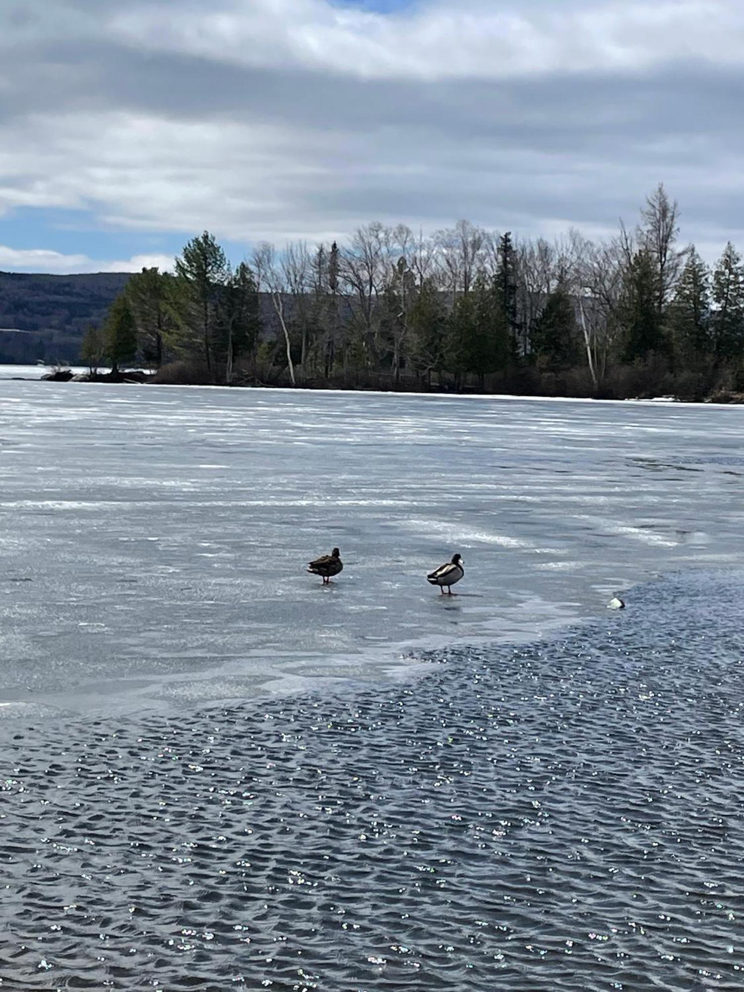 Rangeley Town & Lake Kültér fotó